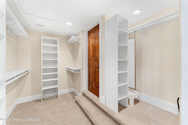 walk in closet featuring light colored carpet