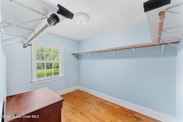 spacious closet featuring light hardwood / wood-style flooring