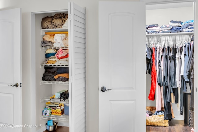 view of closet