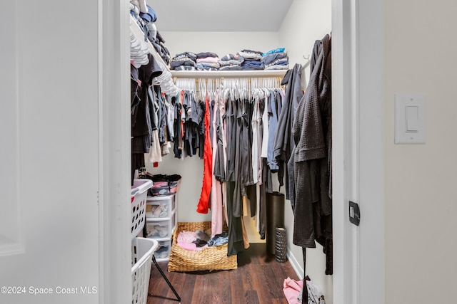 spacious closet with wood-type flooring