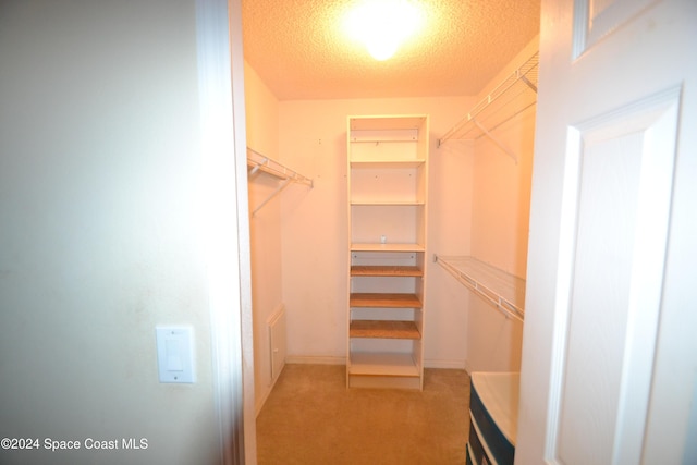 spacious closet featuring light colored carpet