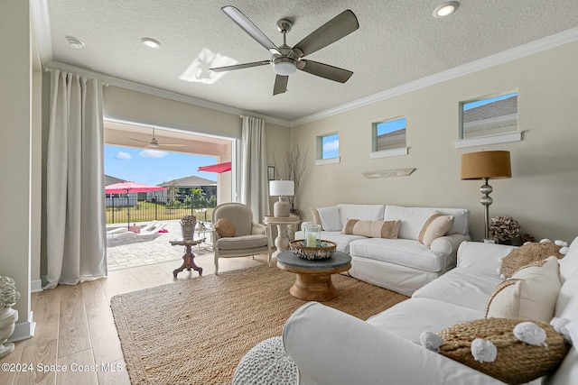 living room with ornamental molding, a textured ceiling, and light wood-type flooring