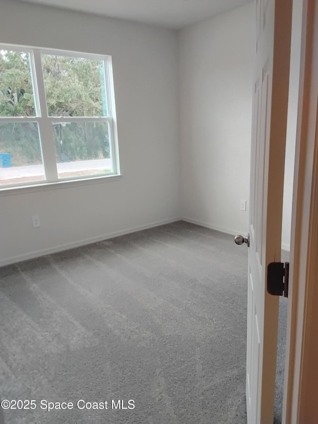 unfurnished room featuring carpet flooring