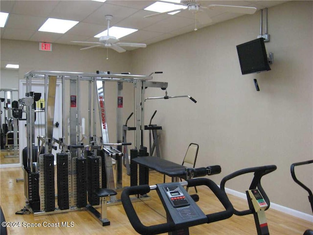 gym featuring light hardwood / wood-style floors, a drop ceiling, and ceiling fan