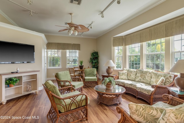 living room with hardwood / wood-style flooring, plenty of natural light, and track lighting