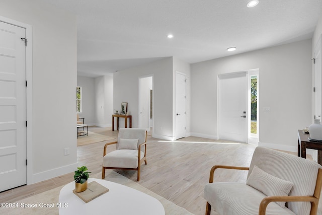 living room with light hardwood / wood-style flooring