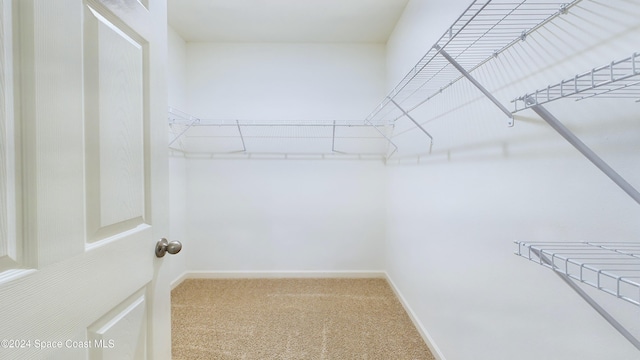 walk in closet featuring carpet floors