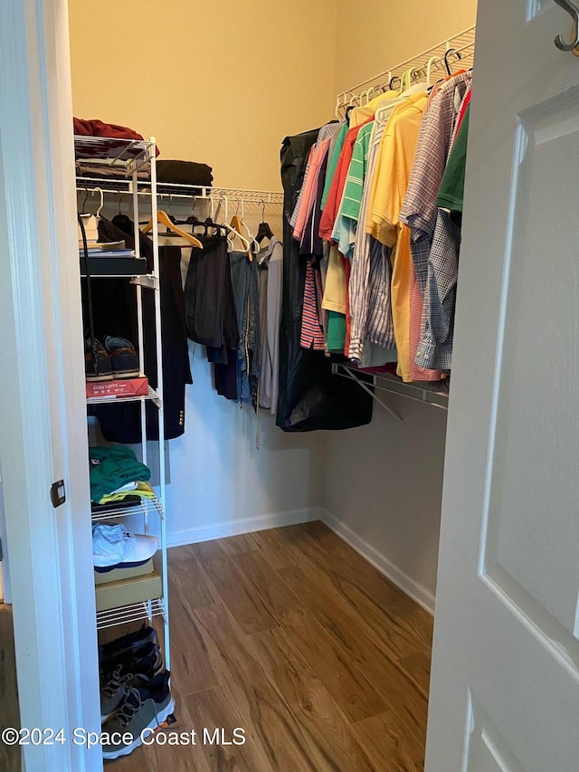 walk in closet with wood-type flooring