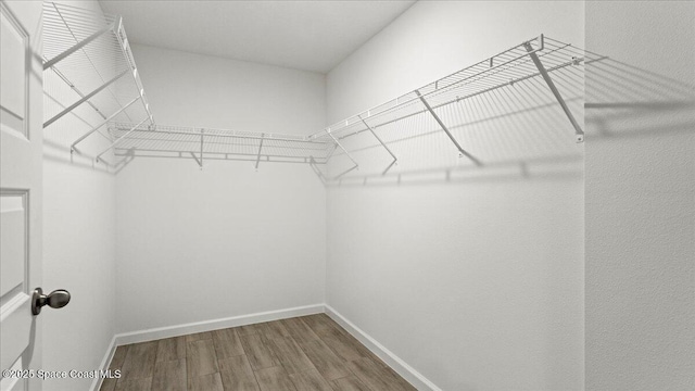 walk in closet featuring hardwood / wood-style flooring