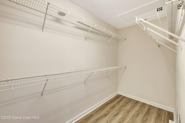 spacious closet featuring hardwood / wood-style flooring