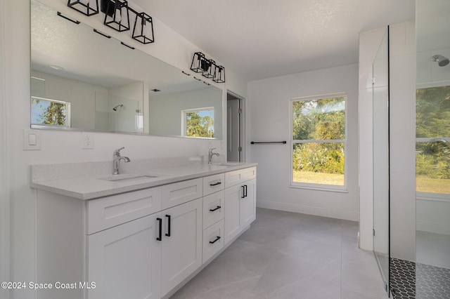 full bath featuring a sink, tiled shower, plenty of natural light, and double vanity