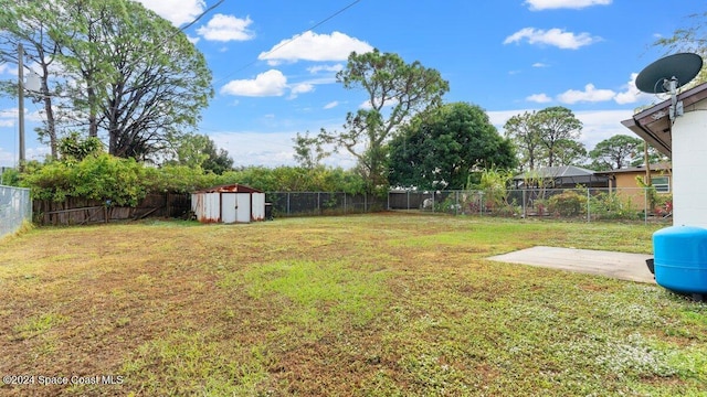 view of yard with a patio and a storage unit