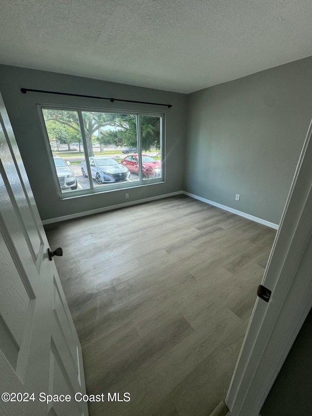 spare room featuring a textured ceiling, a wealth of natural light, and light hardwood / wood-style flooring