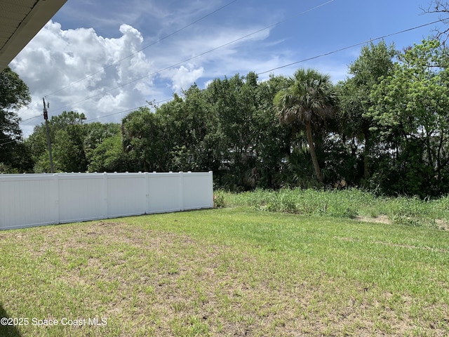 439 Wellwood St SW, Palm Bay, FL 32908 - view of yard
