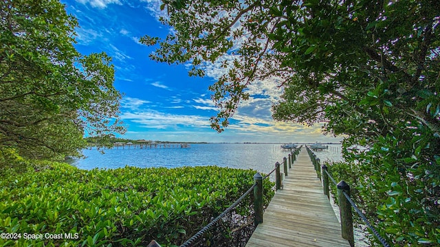 dock area with a water view