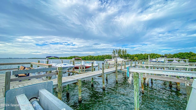 dock area with a water view