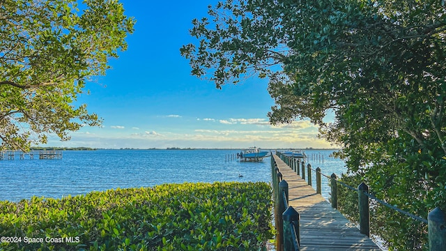 dock area with a water view