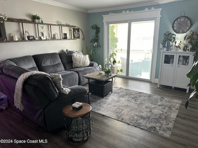 living room with crown molding and dark hardwood / wood-style floors