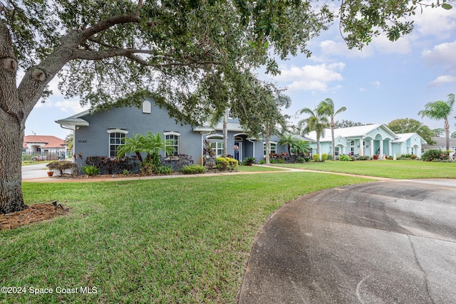 ranch-style house featuring a front yard