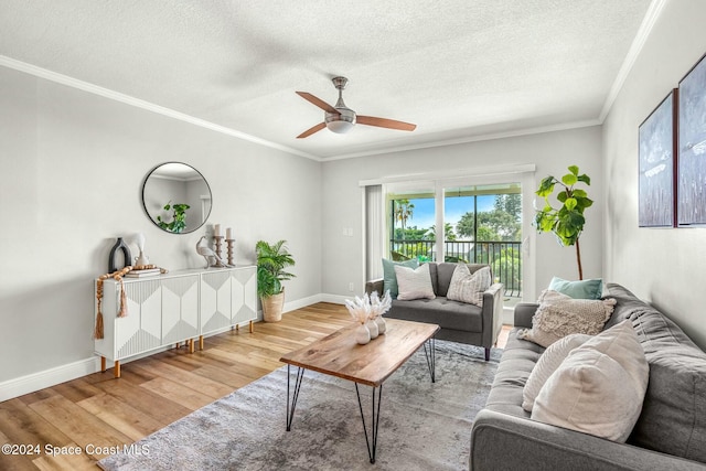 living room with crown molding, light hardwood / wood-style flooring, and ceiling fan