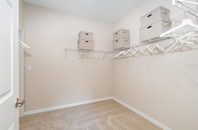 spacious closet with carpet