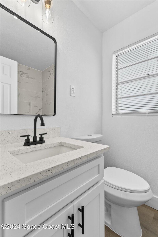 bathroom featuring vanity, toilet, and wood-type flooring