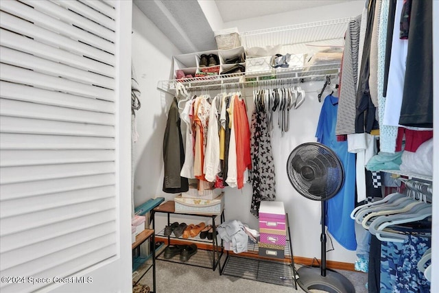 spacious closet with carpet