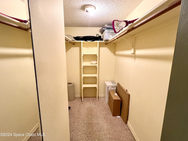 spacious closet featuring light carpet