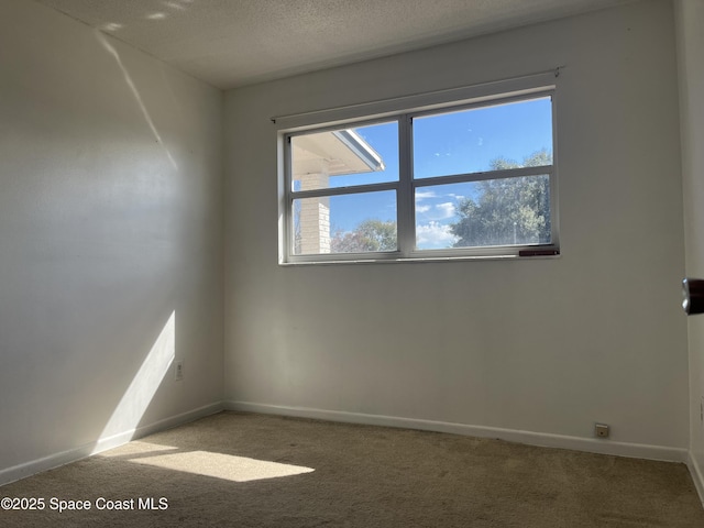 unfurnished room with carpet floors and a textured ceiling