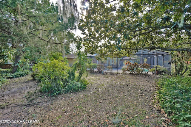 view of yard with a lanai and a patio area