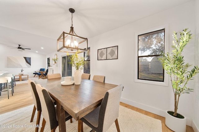 dining room featuring light hardwood / wood-style flooring and ceiling fan with notable chandelier