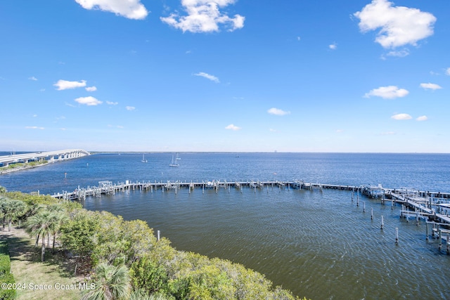 view of water feature featuring a boat dock