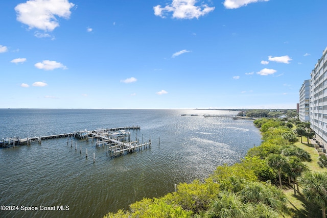 dock area with a water view