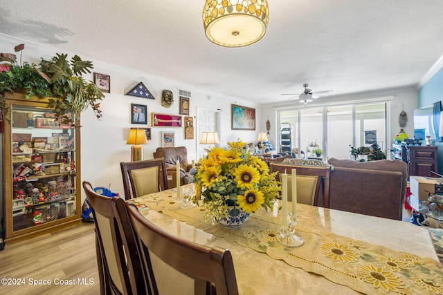 dining room with a textured ceiling, light wood-type flooring, ceiling fan, and ornamental molding