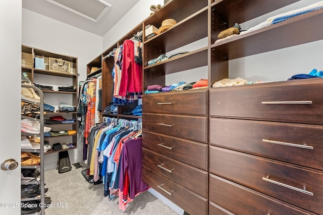 spacious closet with light colored carpet