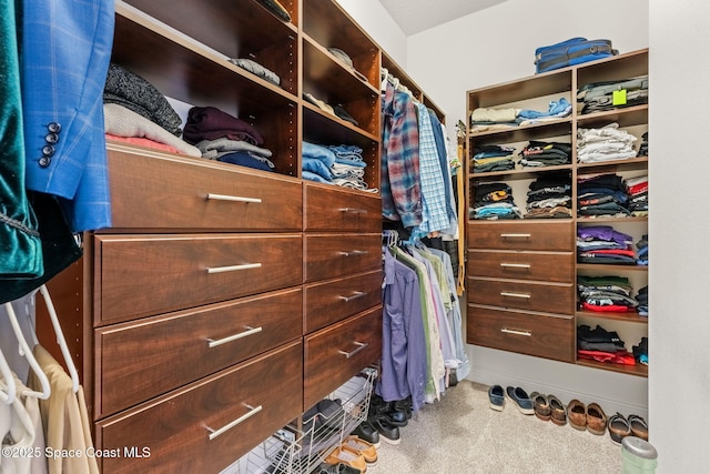 walk in closet featuring carpet flooring