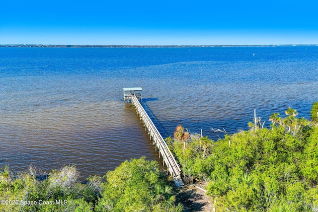 property view of water