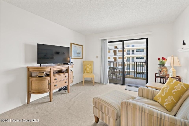 living room featuring carpet floors and a textured ceiling