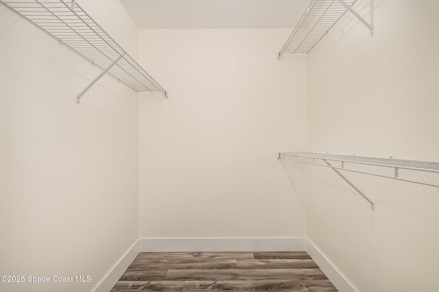 spacious closet with hardwood / wood-style floors