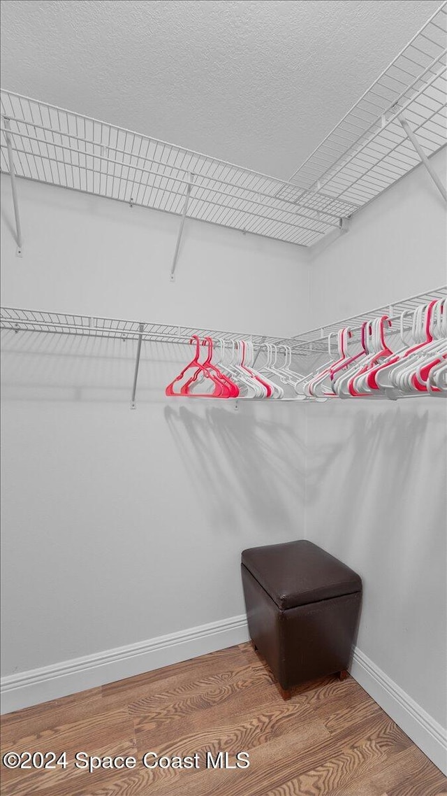 walk in closet featuring wood-type flooring