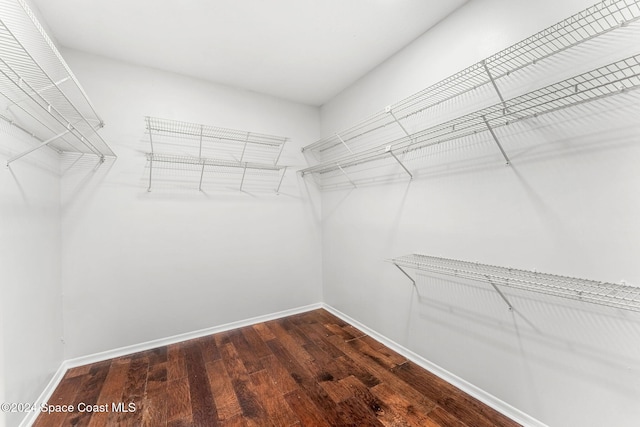 walk in closet featuring dark wood-type flooring