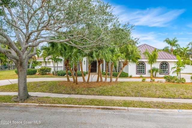 view of property hidden behind natural elements with a front lawn