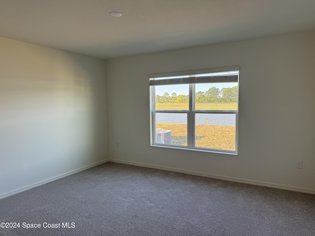 empty room featuring carpet floors