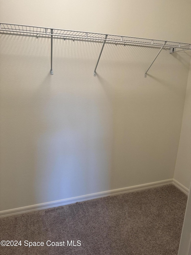 spacious closet with carpet floors