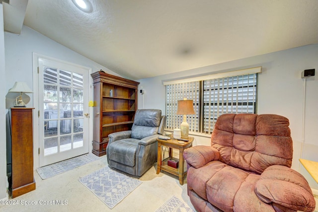 living area featuring a healthy amount of sunlight and lofted ceiling