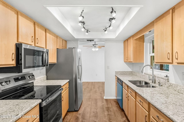 kitchen with appliances with stainless steel finishes, sink, light brown cabinetry, and a tray ceiling