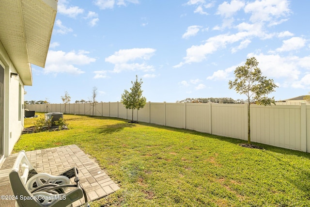 view of yard featuring a patio area