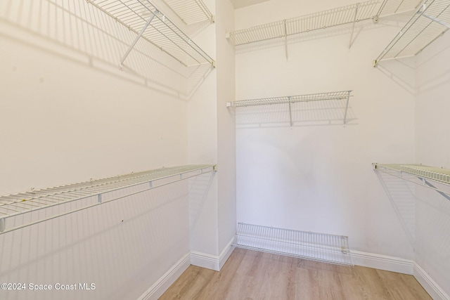 walk in closet featuring light wood-type flooring