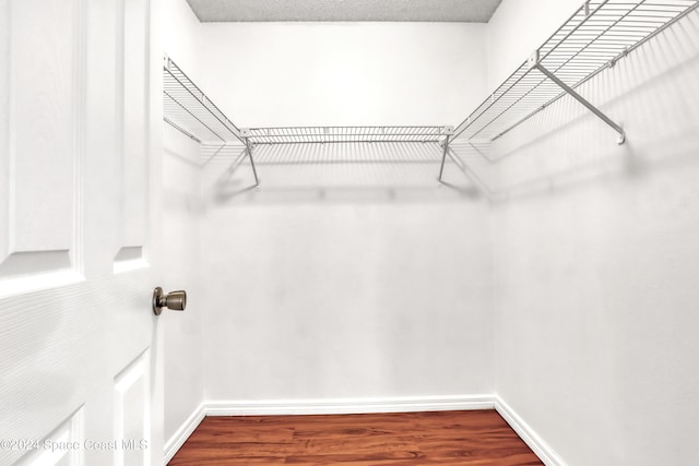 spacious closet featuring wood-type flooring