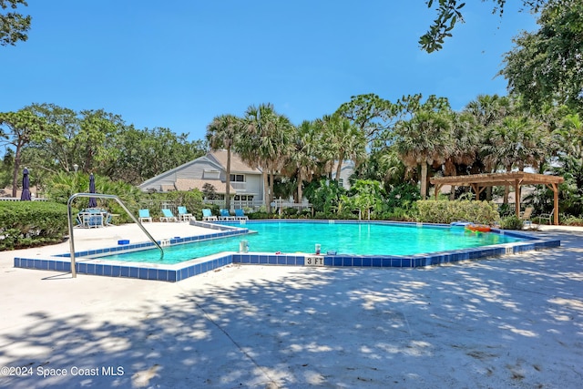 view of swimming pool with a pergola and a patio